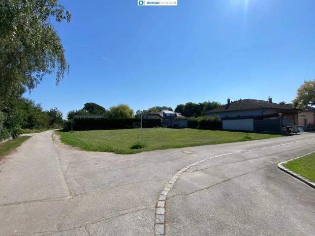 Grundstück kaufen in Atzenbrugg, Niederösterreich