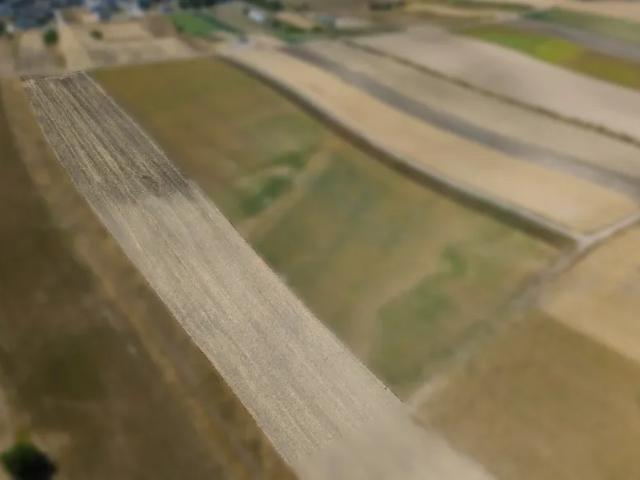 Grundstück kaufen in Auersthal, Niederösterreich