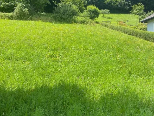Grundstück kaufen in Mellau, Vorarlberg