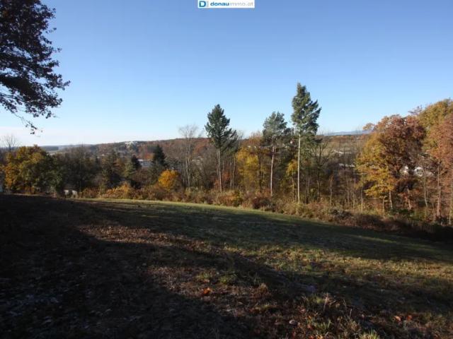 Grundstück kaufen in Bad Tatzmannsdorf, Burgenland