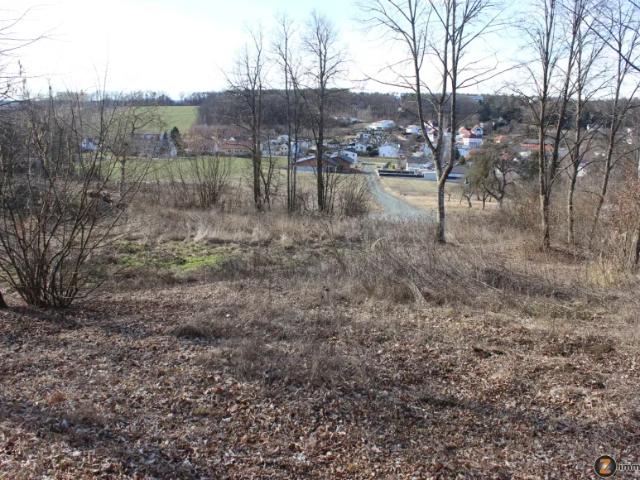 Grundstück kaufen in Bad Tatzmannsdorf, Burgenland