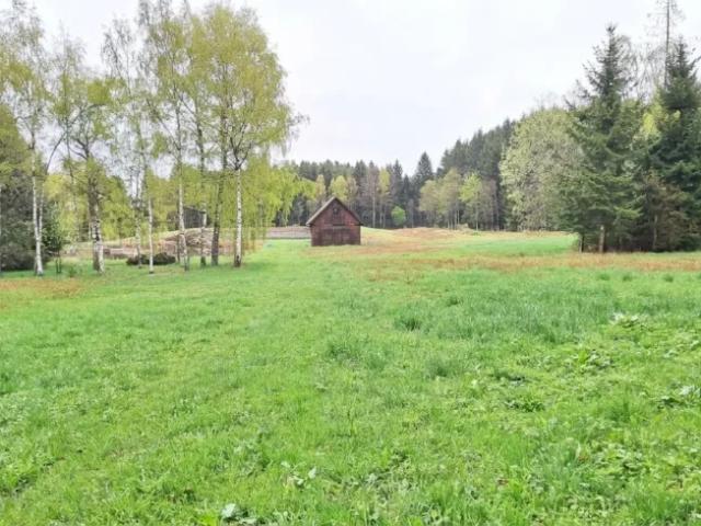 Grundstück kaufen in Bad Traunstein, Bezirk Zwettl