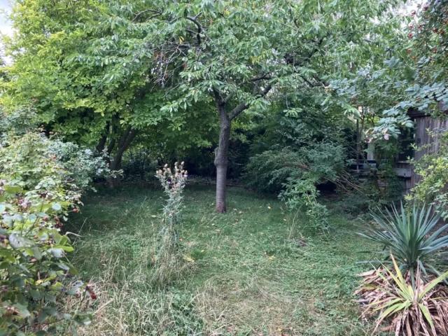 Grundstück kaufen in Katastralgemeinde Baden, Baden