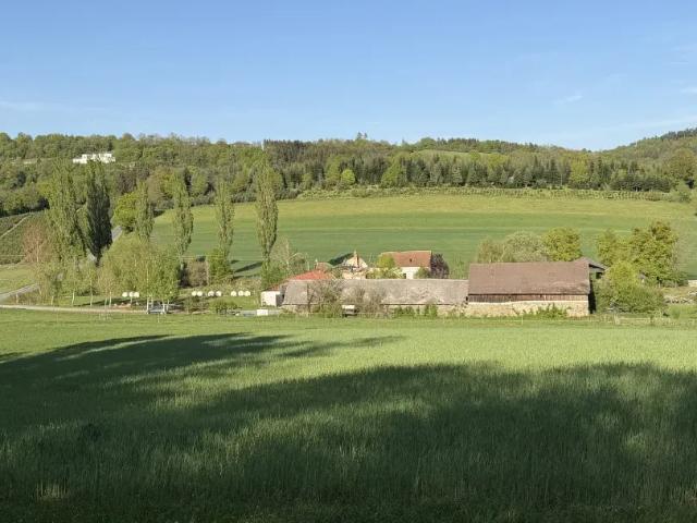Grundstück kaufen in Bernstein, Burgenland