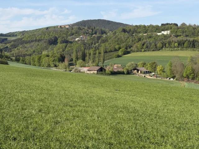 Grundstück kaufen in Bernstein, Burgenland