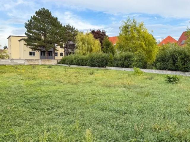 Grundstück kaufen in Katastralgemeinde Bruck an der Leitha, Bruck an der Leitha