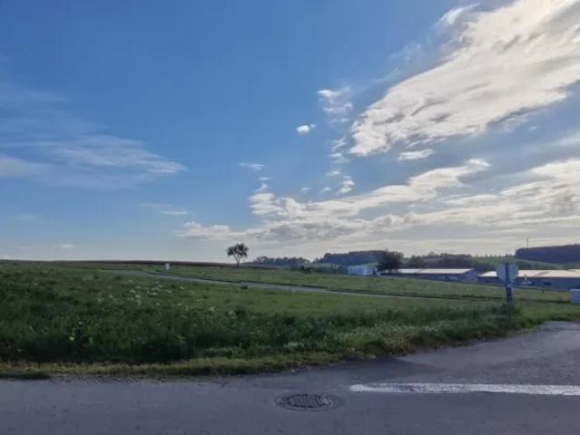 Grundstück kaufen in Nahwärme Buchkirchen, Buchkirchen