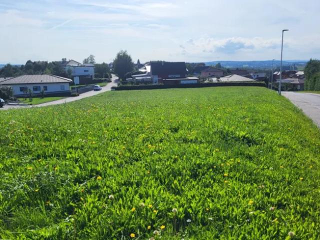 Grundstück kaufen in Diersbach, Oberösterreich