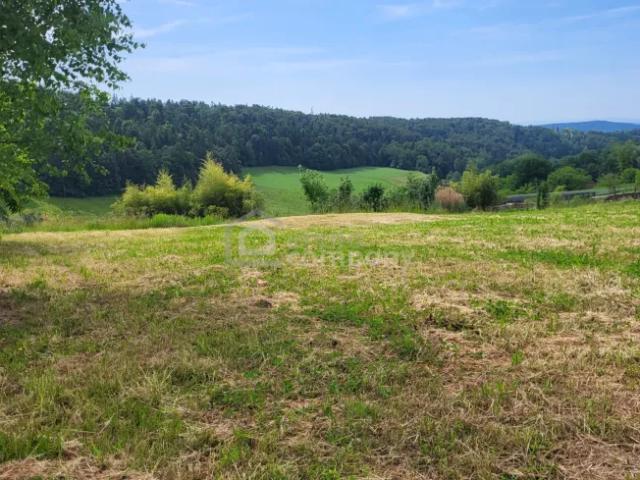 Grundstück kaufen in Steiermark