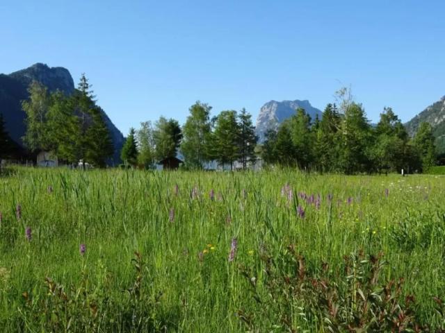 Grundstück kaufen in Ebensee, Oberösterreich