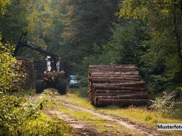 Grundstück kaufen in Engerwitzdorf, Oberösterreich