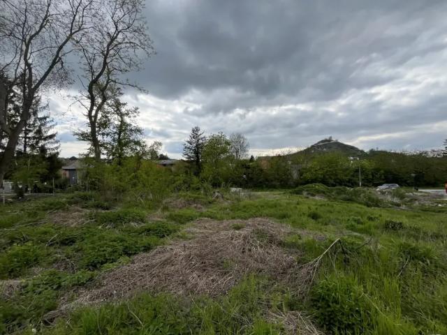 Grundstück kaufen in Staatz-Kautendorf, Niederösterreich