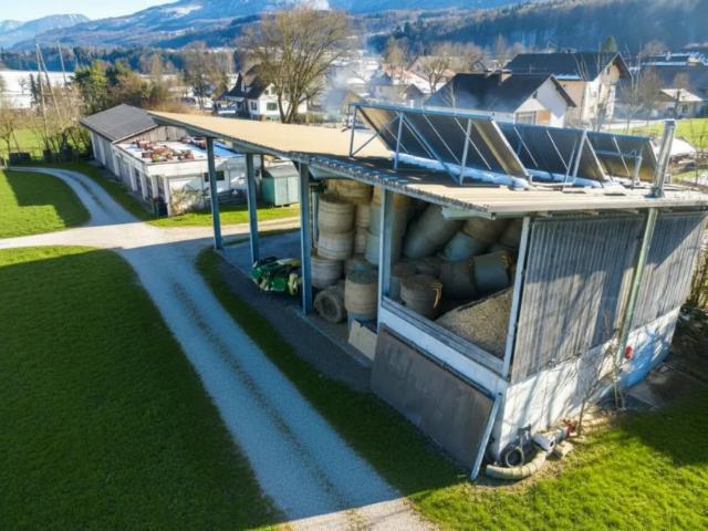 Grundstück kaufen in Feistritz im Rosental, Kärnten