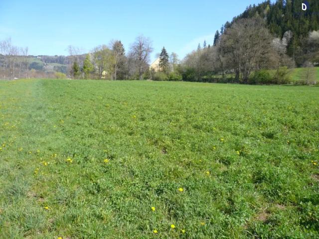 Grundstück kaufen in Feldkirchen in Kärnten, Kärnten