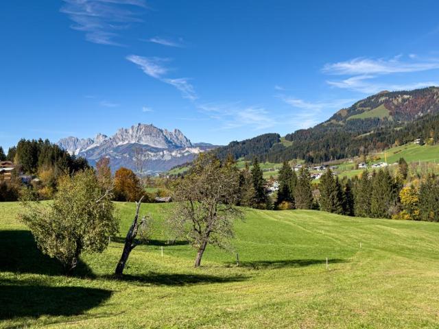 Grundstück kaufen in Fieberbrunn, Tirol