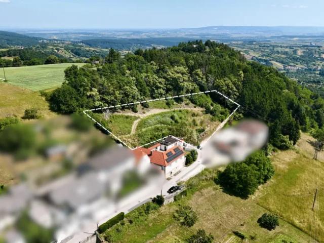 Grundstück kaufen in Forchtenstein, Burgenland
