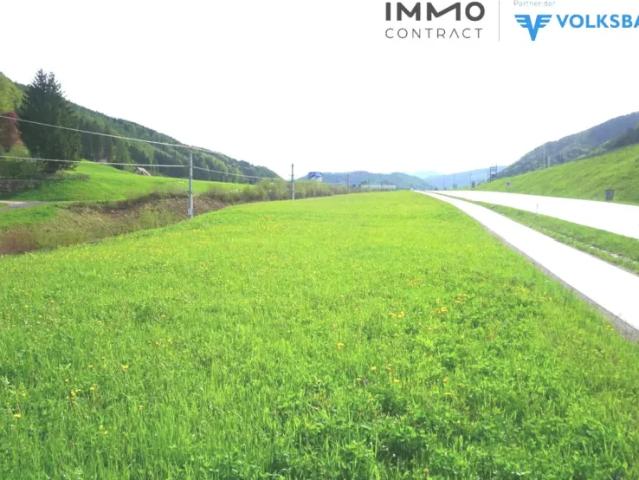 Grundstück kaufen in Gaflenz, Oberösterreich