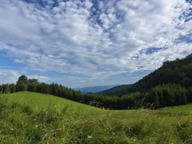 Grundstück kaufen in Gösting, Gersdorf-Feistritz
