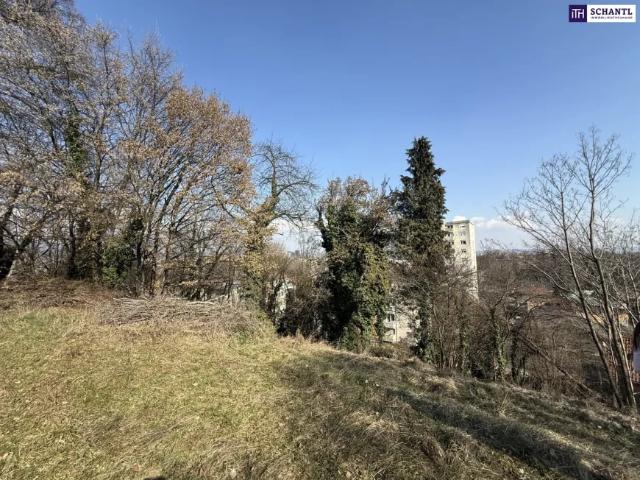Grundstück kaufen in Wetzelsdorf, Gersdorf-Feistritz