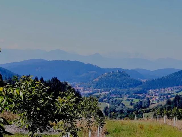 Grundstück kaufen in Griffen, Kärnten