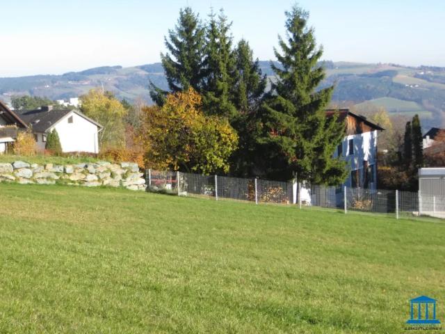 Grundstück kaufen in Grimmenstein, Niederösterreich