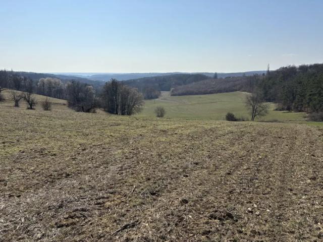 Grundstück kaufen in Großmürbisch, Burgenland