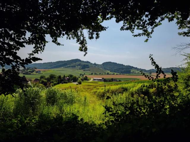 Grundstück kaufen in St. Nikolai im Sausal, Steiermark