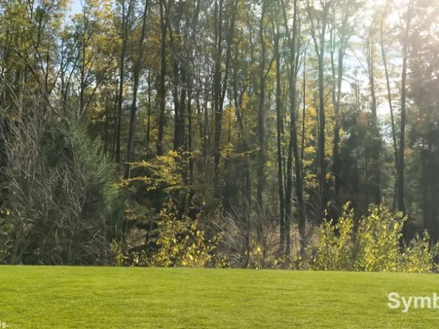Grundstück kaufen in Haselsdorf-Tobelbad, Steiermark
