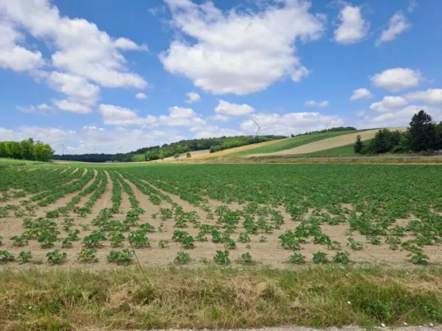 Grundstück kaufen in Himberg, Niederösterreich