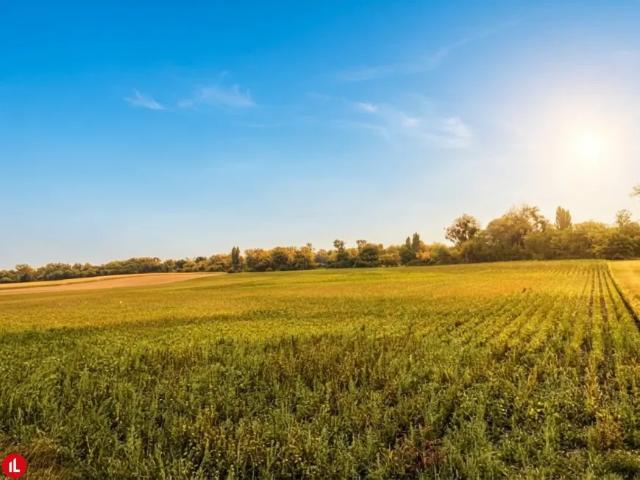 Grundstück kaufen in Katastralgemeinde Himberg, Himberg