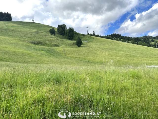 Grundstück kaufen in Saalbach-Hinterglemm, Salzburg