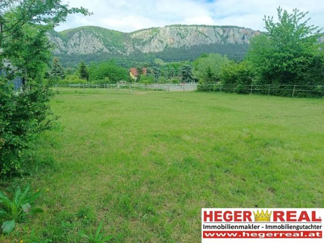 Grundstück kaufen in Hohewand, Niederösterreich
