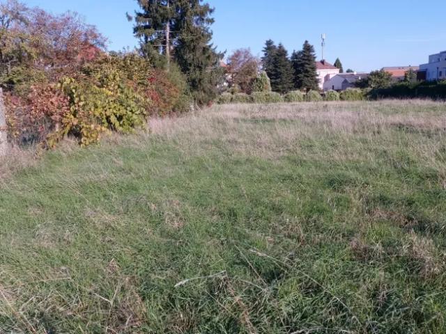 Grundstück kaufen in Dobersberg, Niederösterreich