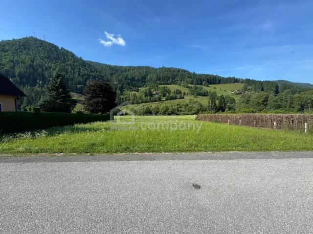 Grundstück kaufen in Tragöß, Steiermark