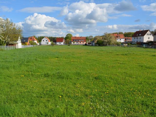 Landwirtschaft kaufen in Duingen