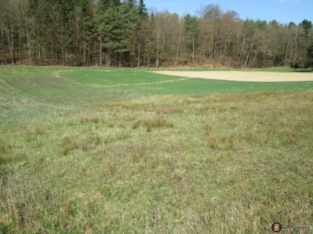 Grundstück kaufen in Jennersdorf, Burgenland