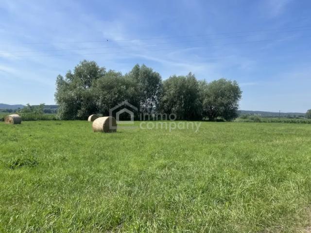 Grundstück kaufen in Jennersdorf, Burgenland