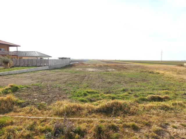 Grundstück kaufen in Jois, Burgenland