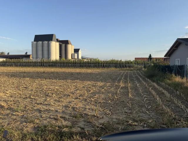 Grundstück kaufen in Judenau-Baumgarten, Niederösterreich