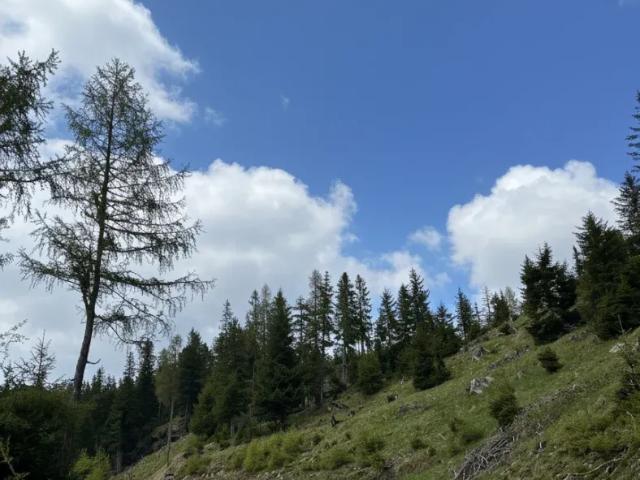Grundstück kaufen in St. Peter am Kammersberg, Steiermark