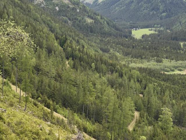 Grundstück kaufen in Katastralgemeinde Kapfenberg, Kapfenberg