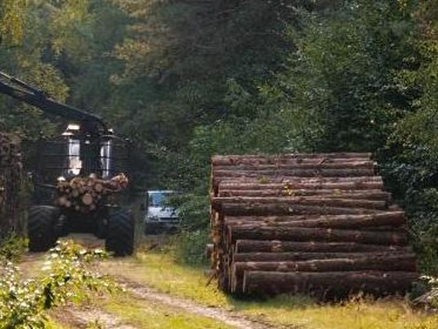 Grundstück kaufen in Hopfgarten i.Br., Tirol