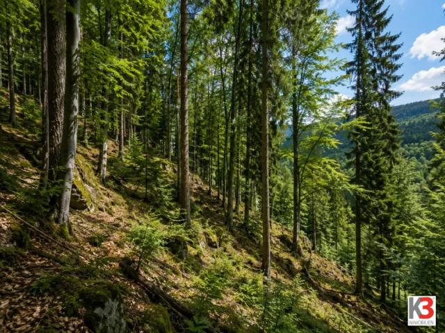 Grundstück kaufen in Keutschach, Kärnten