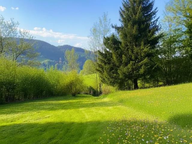 Grundstück kaufen in Kindberg, Steiermark