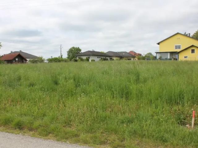 Grundstück kaufen in Katastralgemeinde Kirchstetten, Kirchstetten