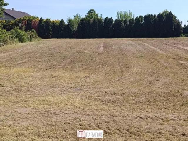 Grundstück kaufen in Kittsee, Burgenland