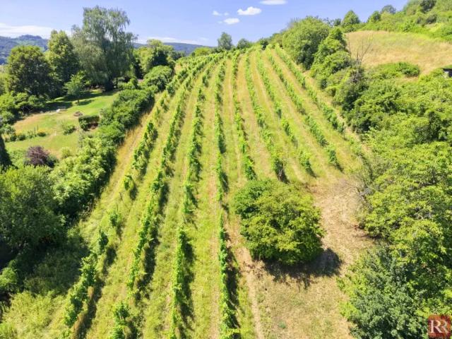Grundstück kaufen in Klosterneuburg, Niederösterreich