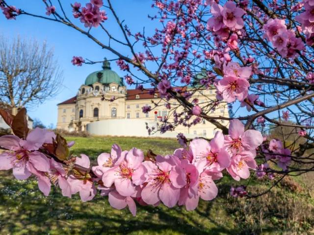 Grundstück kaufen in Klosterneuburg, Niederösterreich