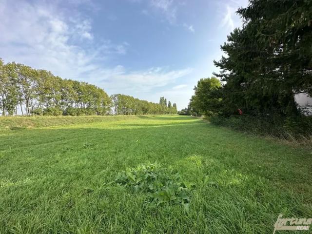 Grundstück kaufen in Königstetten, Niederösterreich