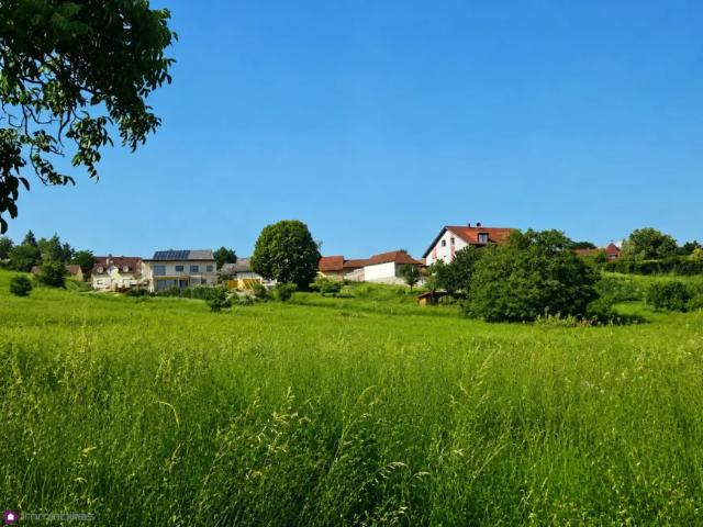 Grundstück kaufen in Leobendorf, Niederösterreich